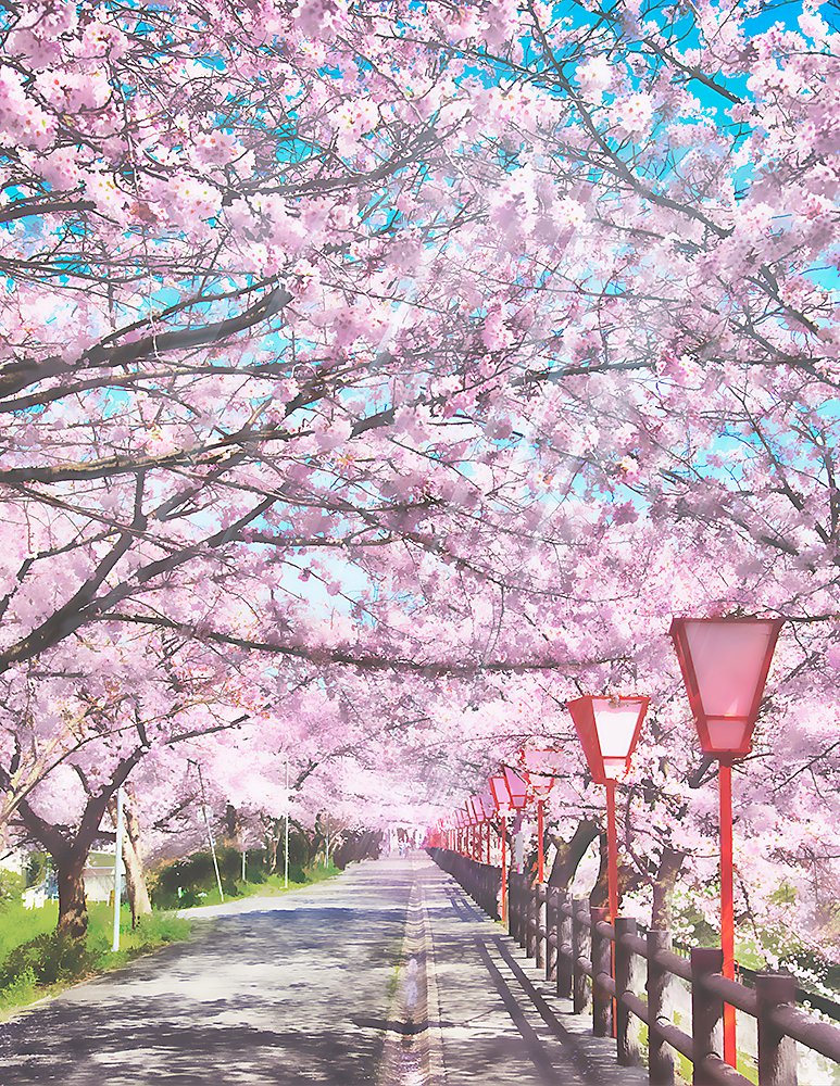 十月桜餅 花火写真集を通販してます 少し早いですが来週末のこみトレ情報を 頒布物は夏コミと同じ 桜の風景写真集 その写真集を加工してアニメの背景っぽくしたイラスト集 並びに沢山の花火写真集を頒布予定です 関西の方 よろしくお願いします