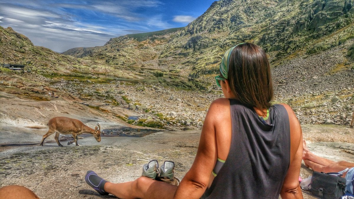 EventosGredos's tweet photo. Sitio de desconexion, simplemente tocaba disfrutar del lugar #lagunagrandedegredos #gredos https://t.co/sEpYju9c2R Vía @bea_ponga