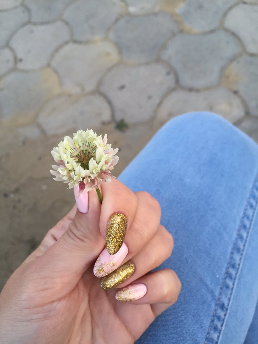 AnRotenko's tweet image. Сестра каждый день дарит цветы)))