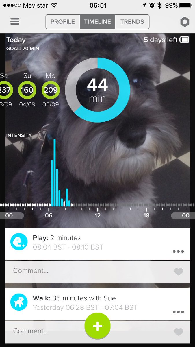 noodleschnauzer's tweet photo. Rocking out the walks down in Broadstairs... #beachbum #seasidesummer #schnauzer https://t.co/sRDMHbjRuo