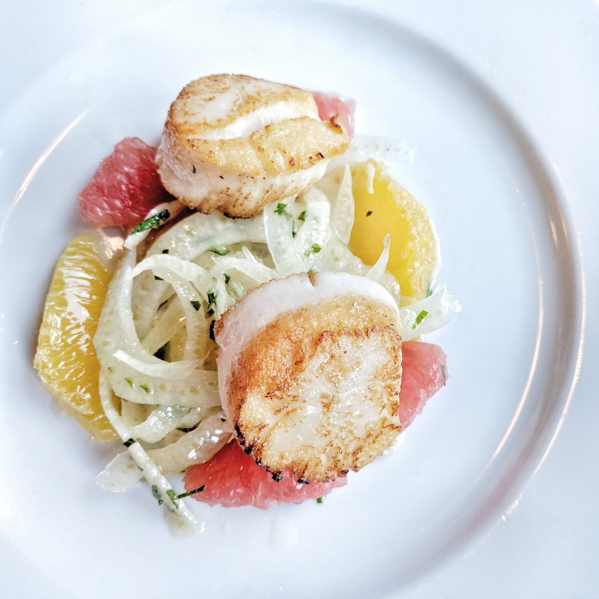 Roasted Scallops at Paese Ristorante in Toronto, Ontario