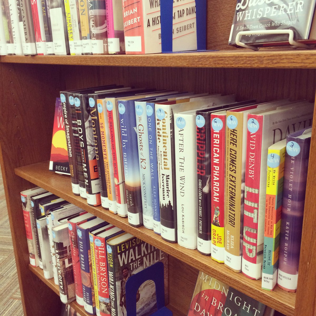 WeaverLibrary's tweet photo. It may be gloomy outside but we've got plenty of new reads to brighten up you day! #weaverlibrary #librariesrock📚 https://t.co/8CEd1iMA68