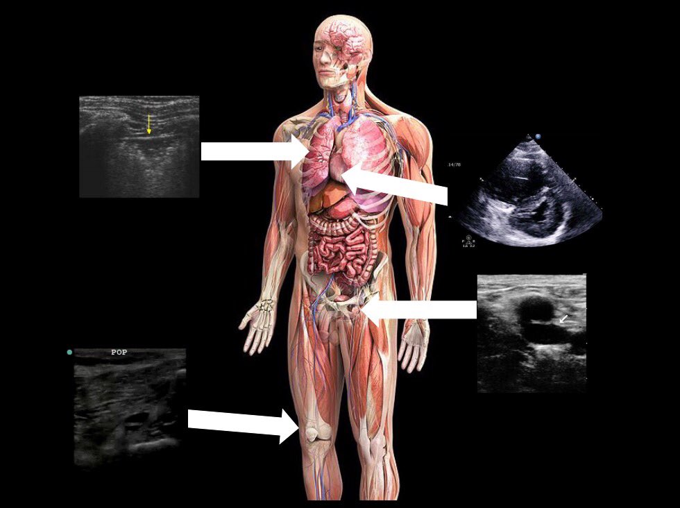 epub Clinical