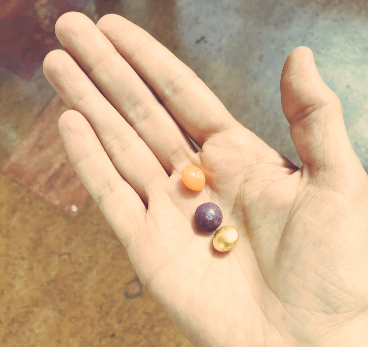 Hello hello, gold treats! #ReasonsTo <a href="/IWantTreats/">Tweets for Treats</a>