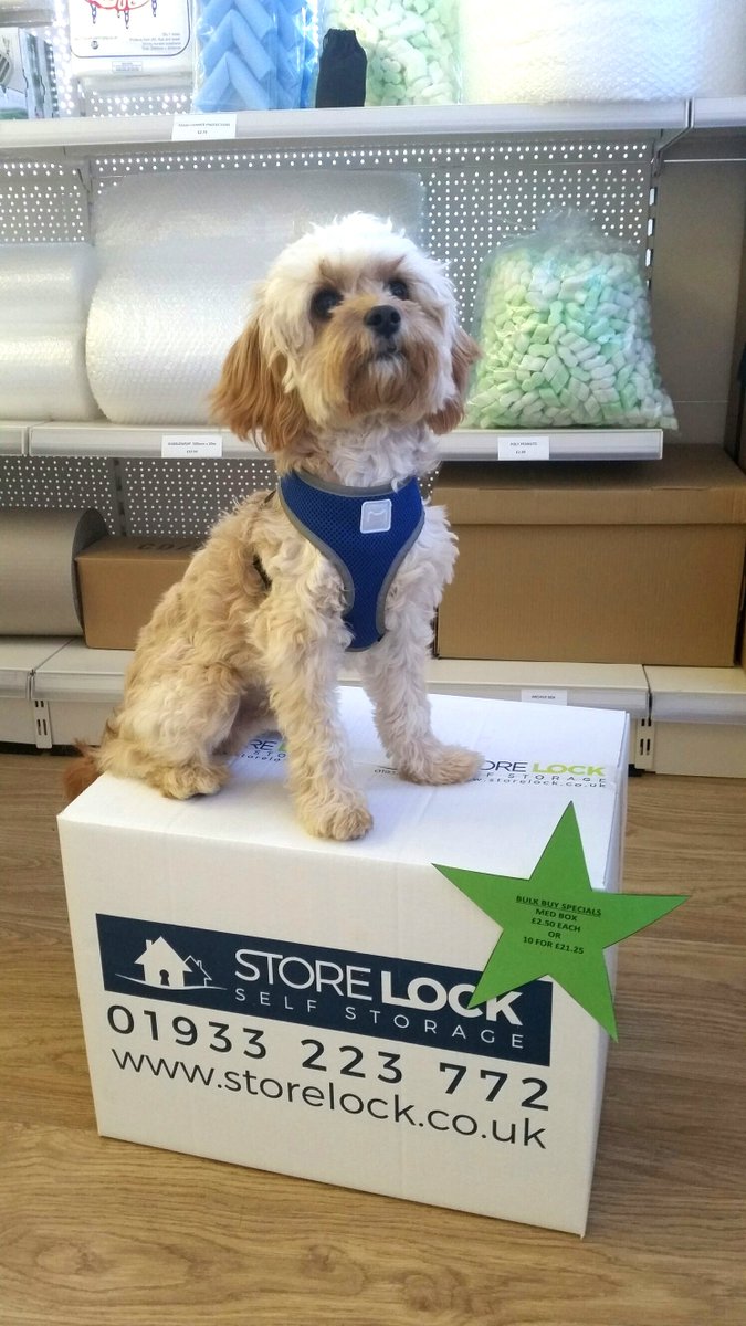 Say hello to one of our store mascots Albie! If you need #storage in #wellingborough you may just get to meet him!