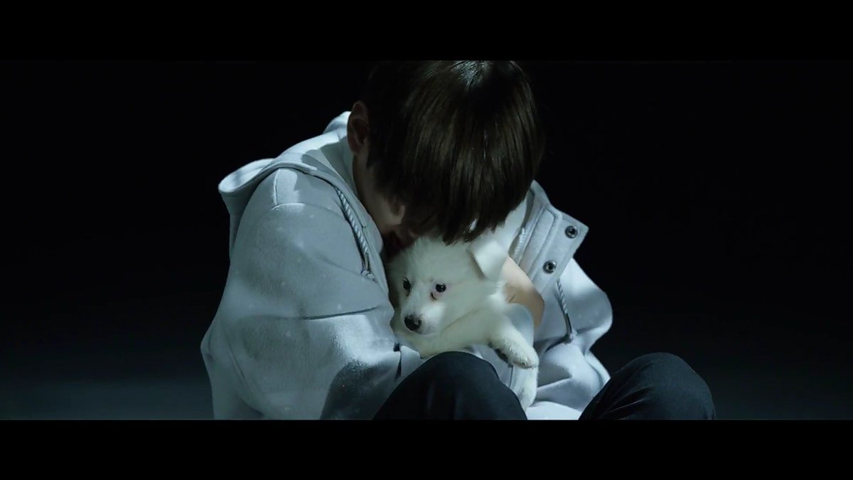 Y1004_'s tweet photo. Short Film 3. #STIGMA 
#방탄소년단 #BTS #WINGS 
#태형 #뷔 #태태 #V https://t.co/iaCF22G5Zk