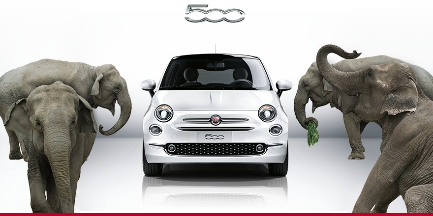 #fiat #fiat500 #fiatlife #elephants #exotic #italy #italiancar #social