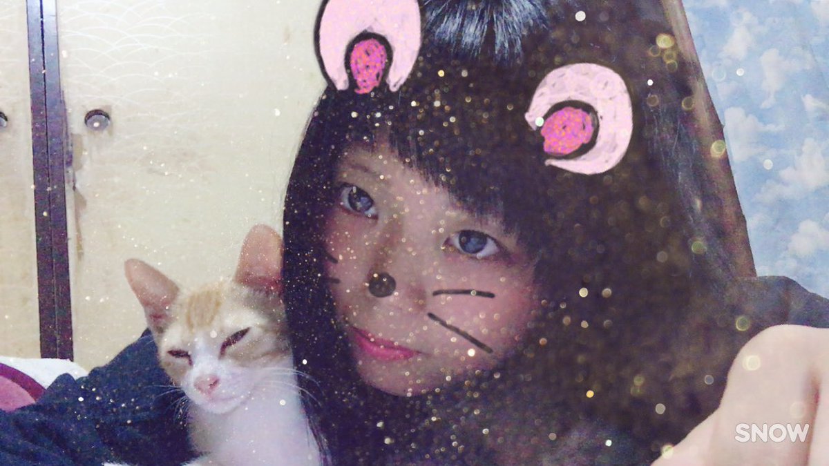 ちゃあ坊 超最強 寝れない