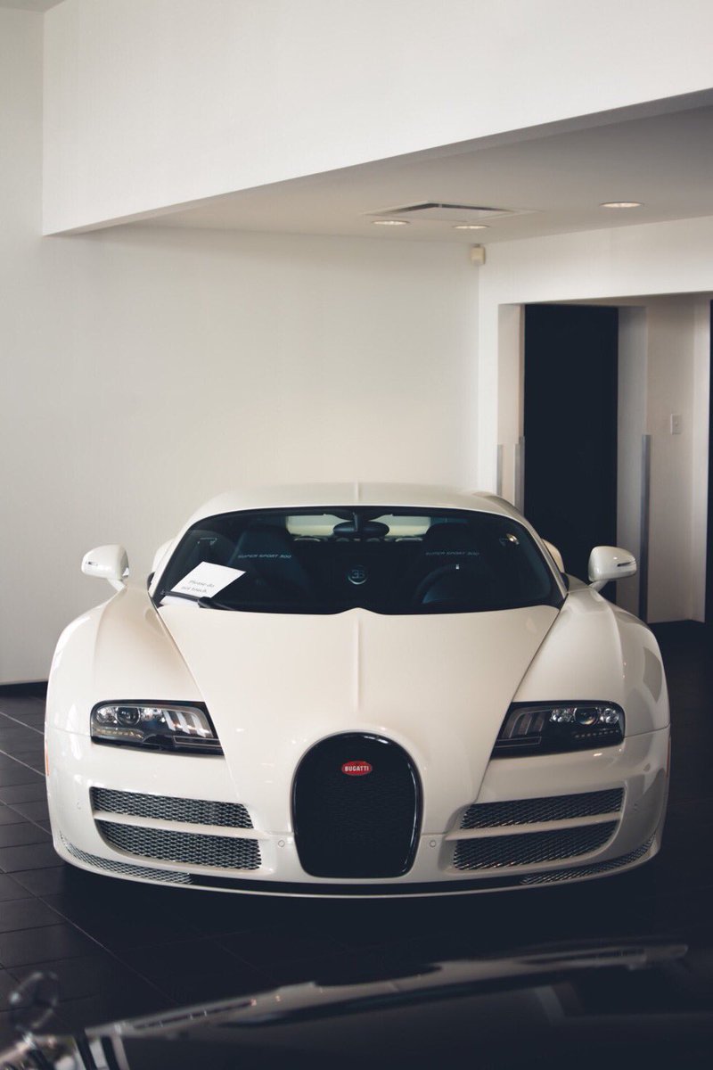 NextLevelLux's tweet image. White bug