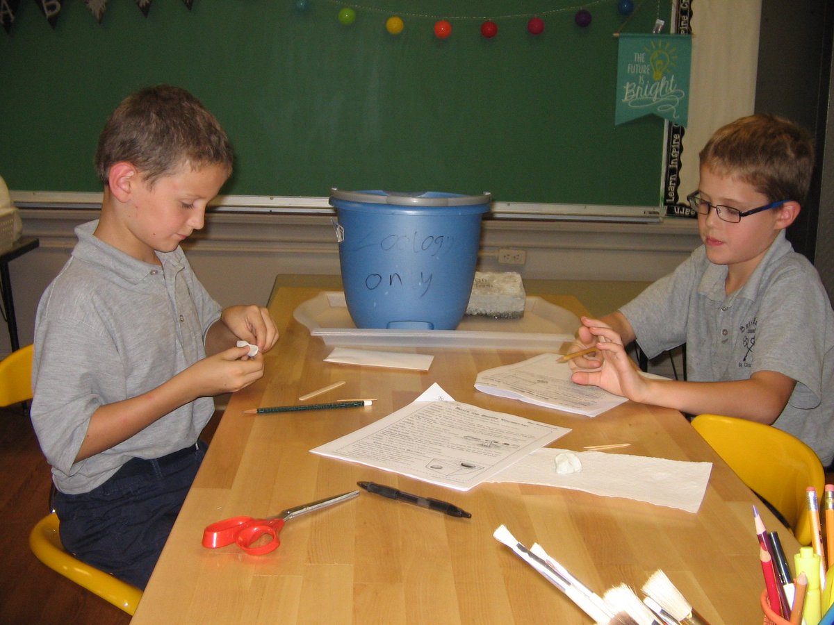 StPStC3rdGrade tweet picture