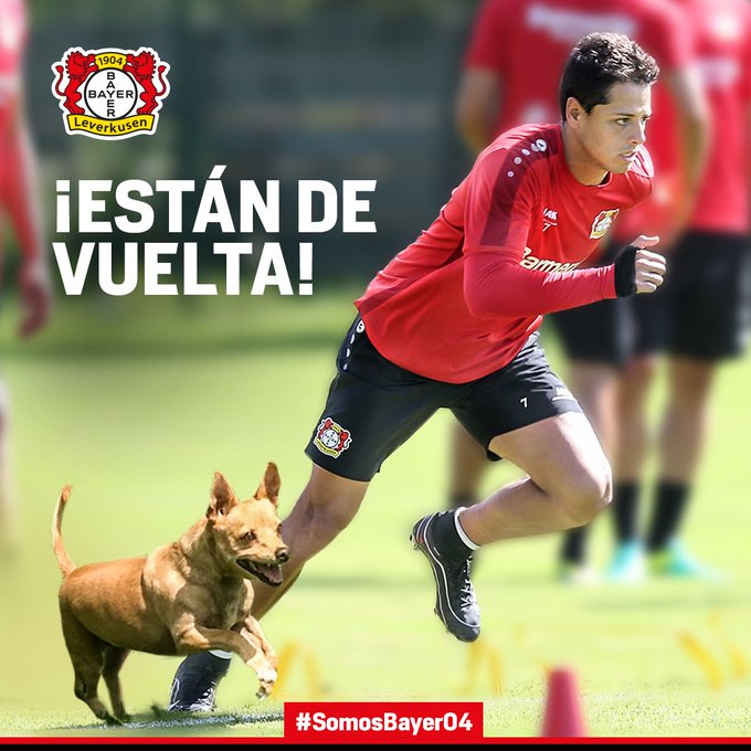 Ver imagen en Twitter