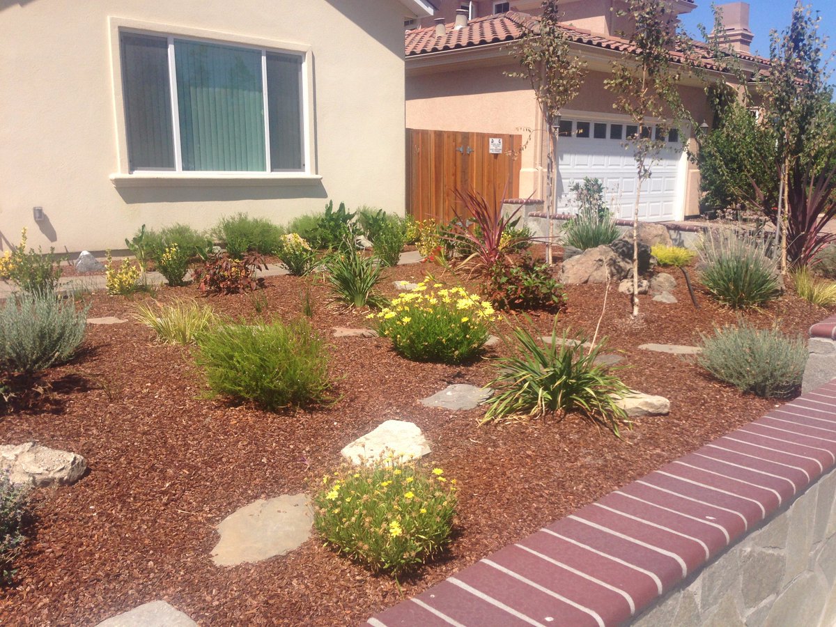 WaterEffGardens's tweet image. Santa Clara Landscape Rebate Program is taking application now!  #CAdrought #droughttolerant goo.gl/1IH2w6