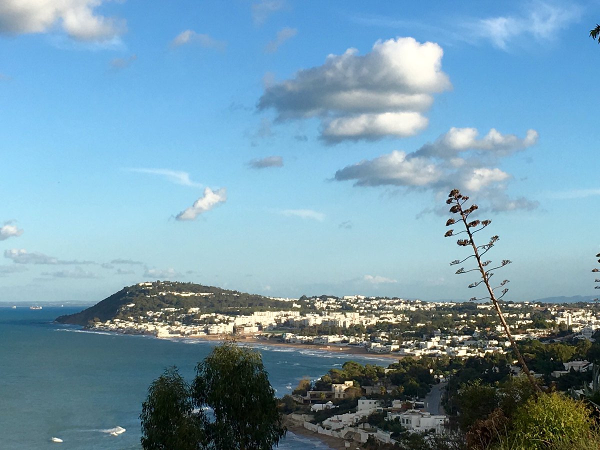 ACADEMIE DT CONSTIT tweet media