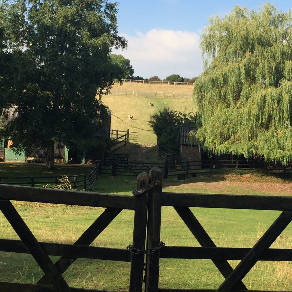 We love our beautiful village ❤️ #Frithsden #chilterns #SunnyAfternoon #AfternoonWalks