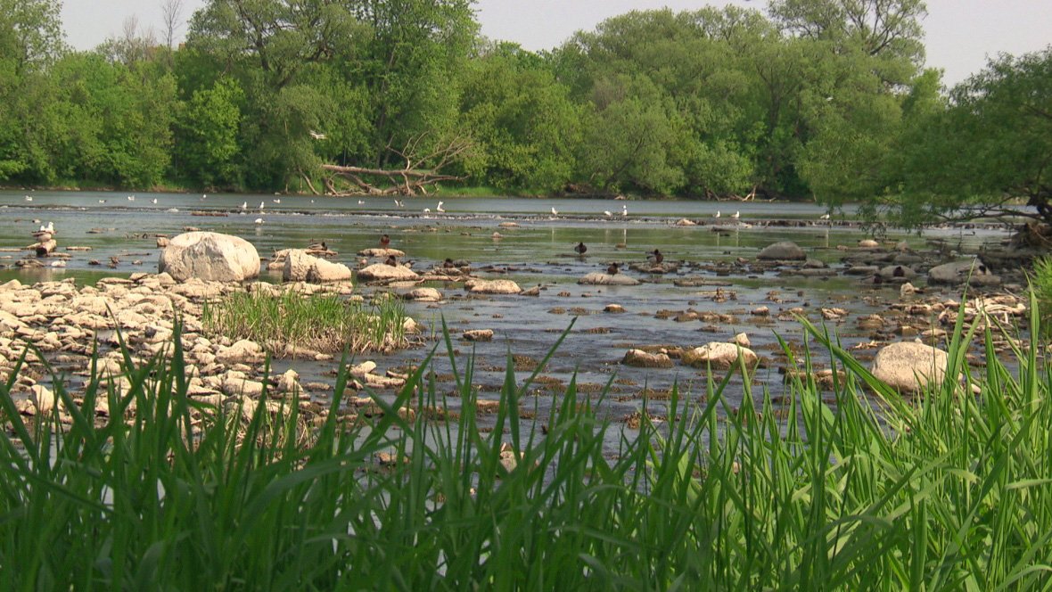 PerthHubCA's tweet image. Looks like we'll be watching our water consumption for a while yet - 
perthhub.ca/rideau-watersh…