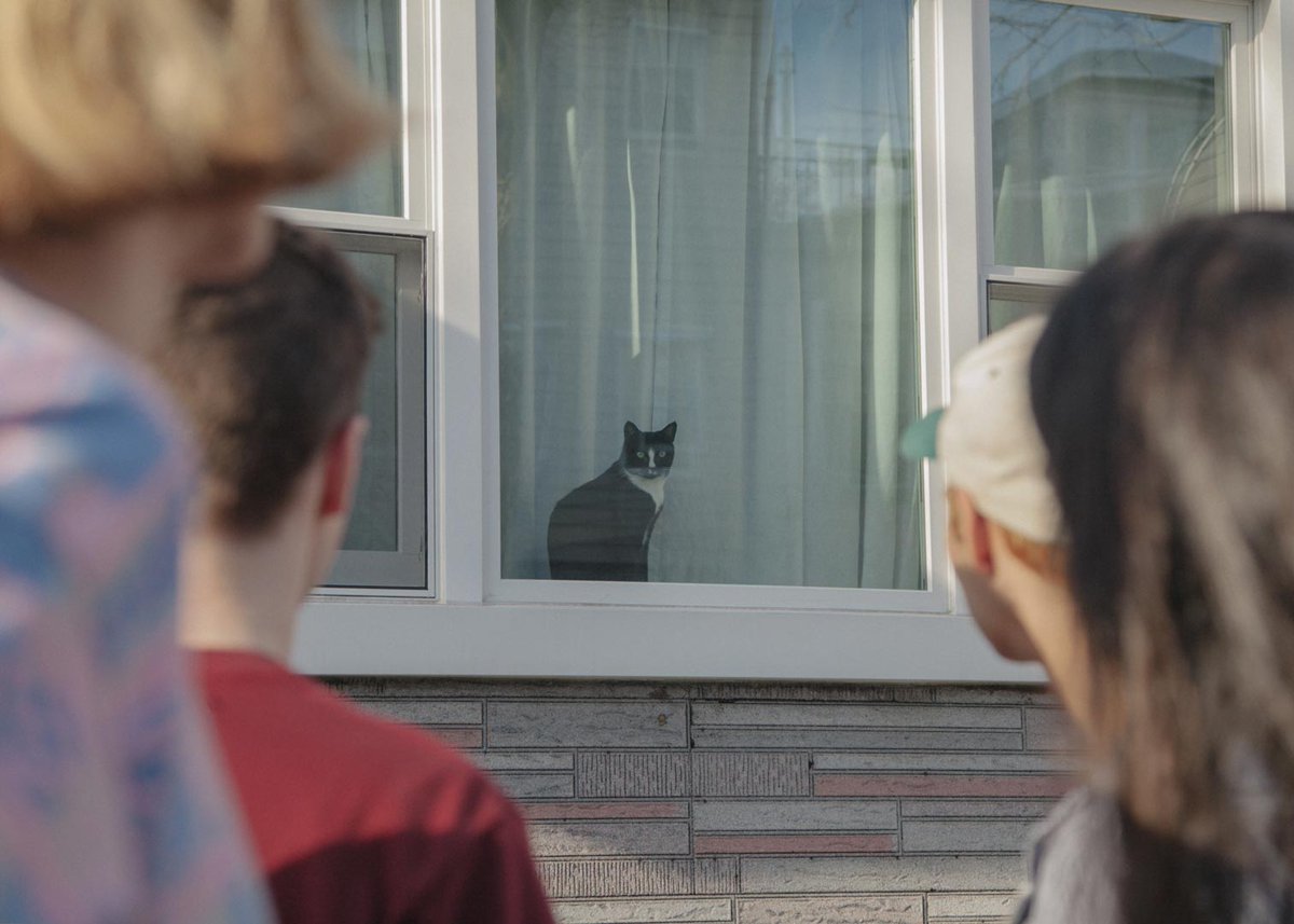 PRTLS's tweet image. Photo Essay --- Trading Looks with Nap Eyes &amp;lt;3 ~~~ 📷: @LandonSpeers | bit.ly/2cBHDgG