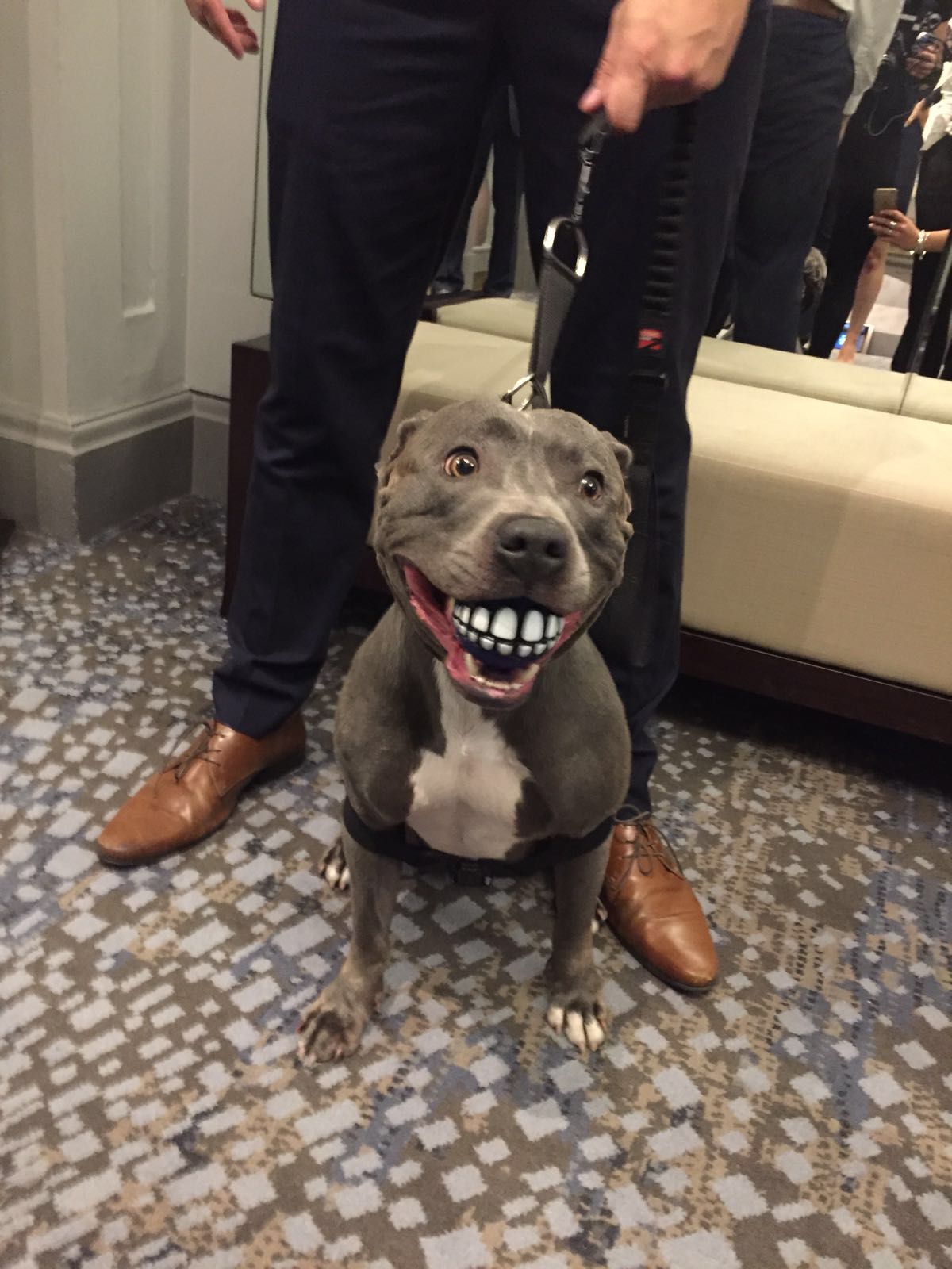 Ramsey staffy 2025