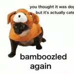 Photo by Relevant Memes (@MemeStock)