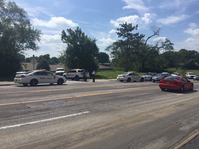 View image on Twitter