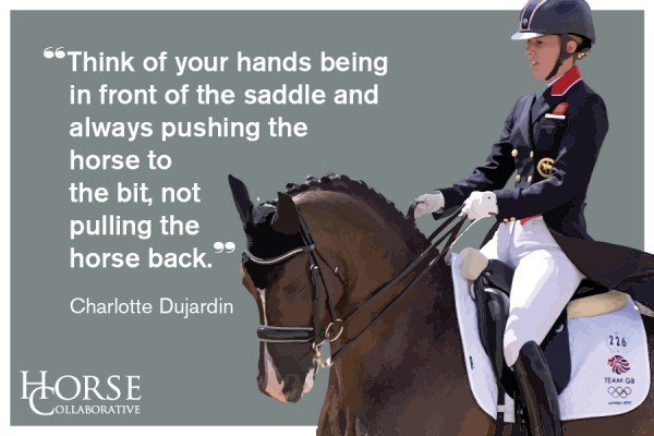 Equestrian.com tweet media