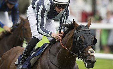 runthehorses's tweet photo. O'Brien returns to saddle with familiar result | Horse Racing News - https://t.co/sO3XDwxMg6 #horseracing #obrien https://t.co/yeVzQU8kxN