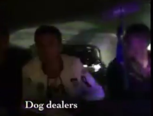 TamaraSka7's tweet photo. ❗#SHAME #CHINA❗RESCUE #R905 FAILED❗STOLEN DOGS TO THE SLAUGHTER❗PLS CALL⬇⬇⬇#SHAME CHINA❗
https://t.co/9SlGpafQxs https://t.co/JneoPOPctb