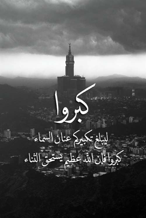 bauomyEbrahim tweet picture