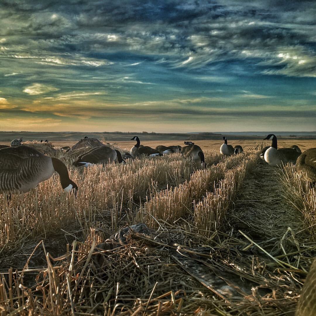 OTROutdoors's tweet photo. Oh, Canada... see you in 2 weeks #OnTheRoadTV #BuckParadiseOutfitters https://t.co/SkEI3BwEDy
