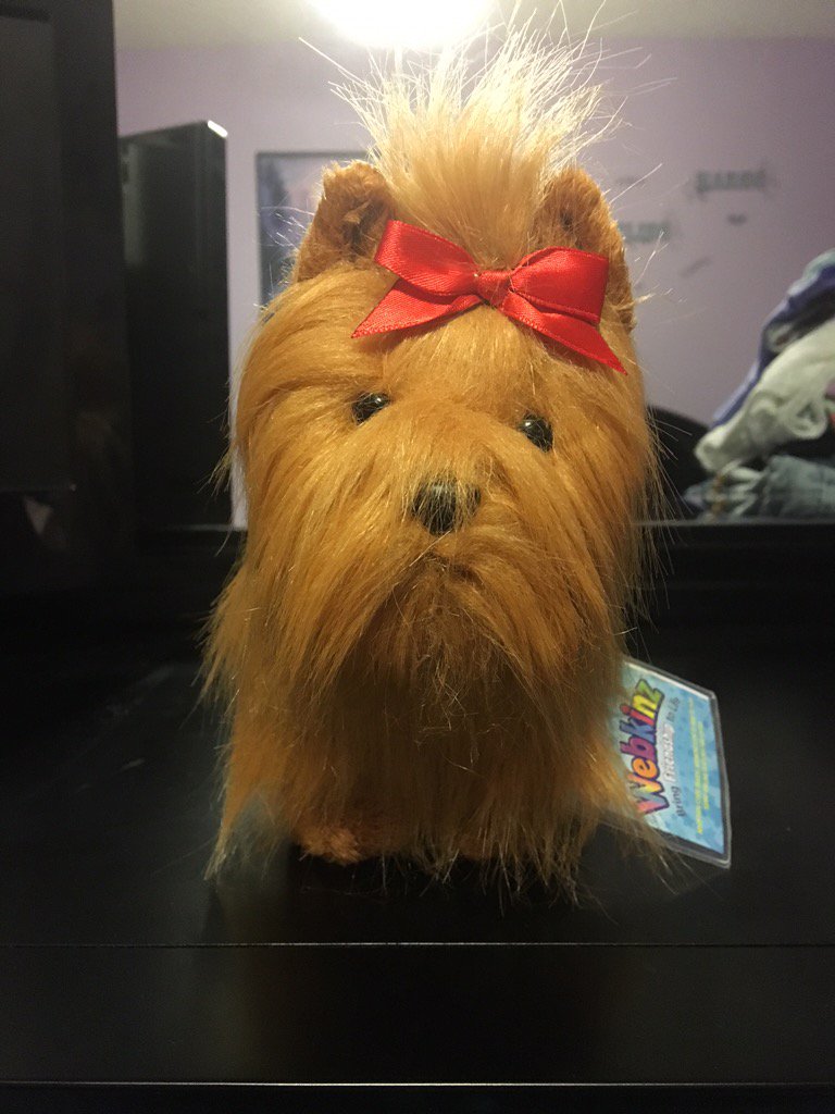 Bella Kinz On Twitter My New Webkinz Long Haired Yorkie Ruby Xd