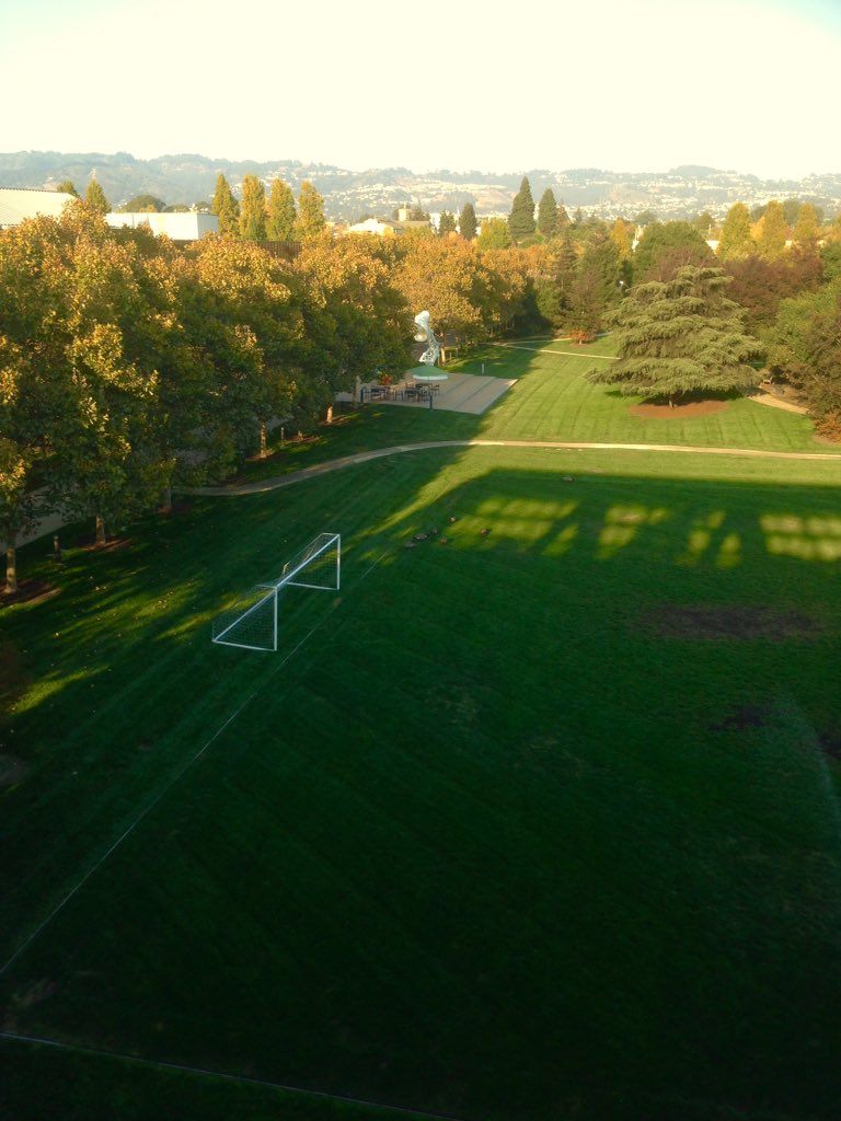 Day's end image. Brooklyn bldg shadow cast onto field. If you look closely the geese are next to field goal #pixar