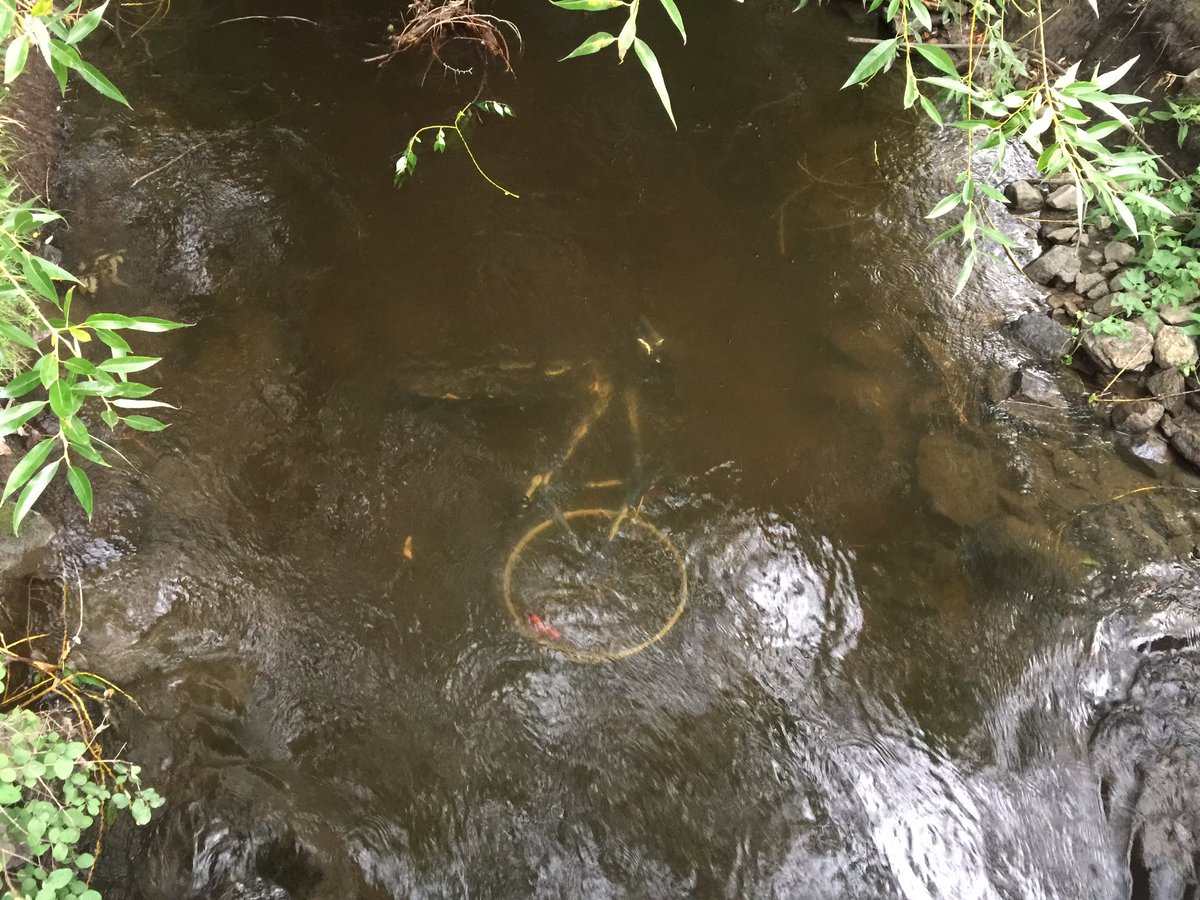 LaurenPullen's tweet image. Missing something? #hiddenfind #freebike