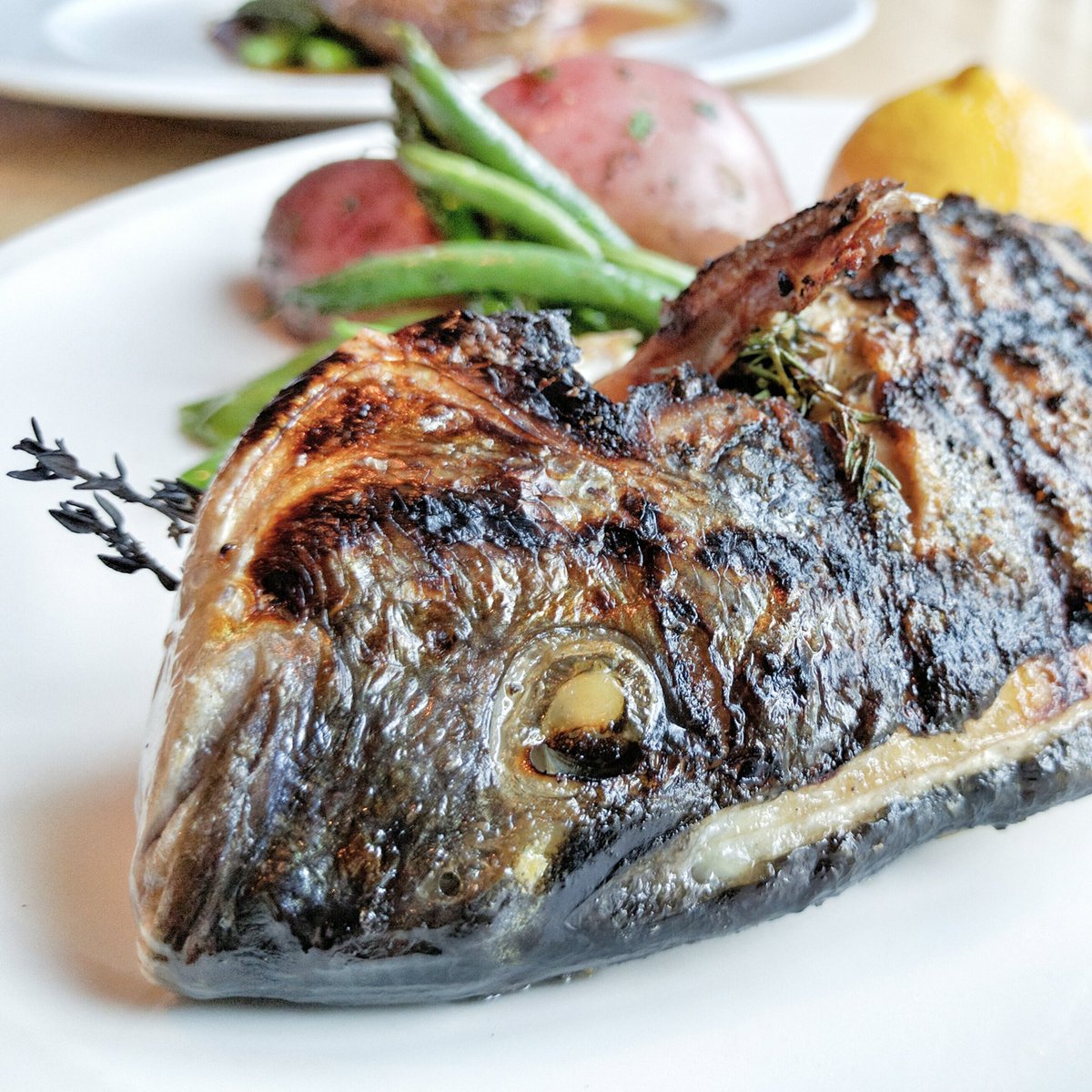 Travelling Foodie Eats Sea Bream at Paese Ristorante Toronto