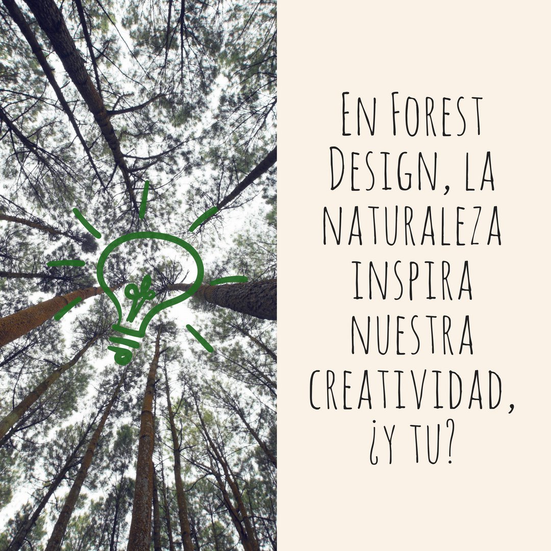 forestdesign_cl's tweet image. ¿Qué te inspira seguir a tus sueños?
