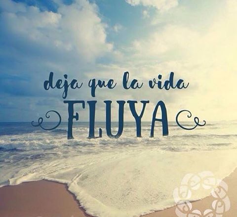 LandWorksMx's tweet photo. Fluye y la vida fluirá https://t.co/EnE29BeASk