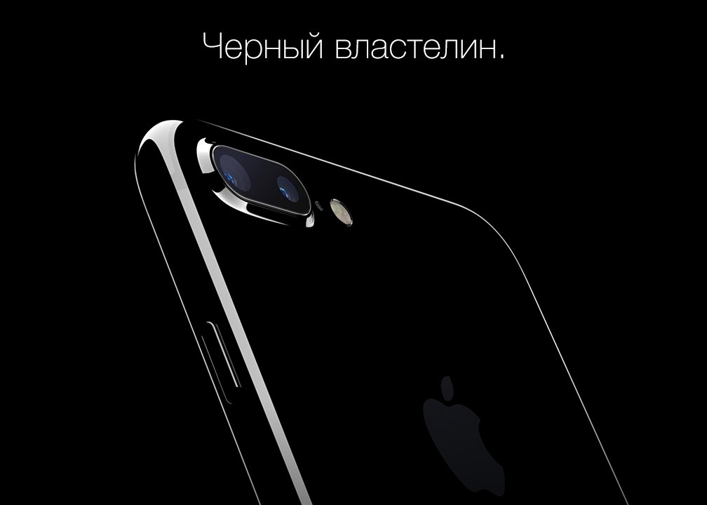 Цвет - черный властелин.