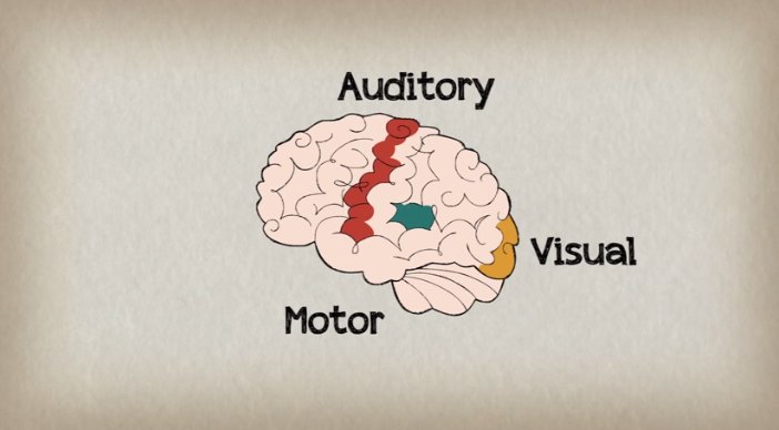 coolcatteacher's tweet photo. How Playing an Instrument Benefits Your Brain https://t.co/S3wd7VC6Fh via @tedtalks https://t.co/9sZUn5YxFG