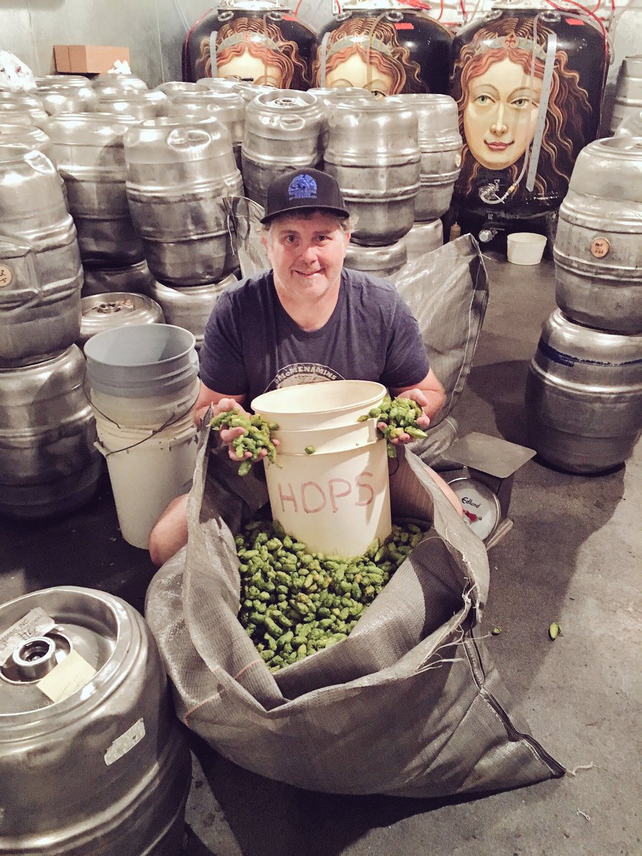 mcmenaminsbeer's tweet photo. #Fresh Cascade Hops from Sodbuster Farms made their way to Anderson School & Old St. Francis for #Thundercone! 🍃 https://t.co/9PqWu4Z5KL