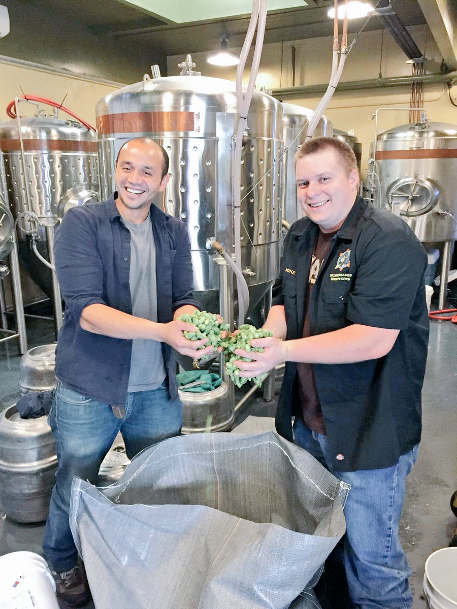 mcmenaminsbeer's tweet photo. #Fresh Cascade Hops from Sodbuster Farms made their way to Anderson School & Old St. Francis for #Thundercone! 🍃 https://t.co/9PqWu4Z5KL