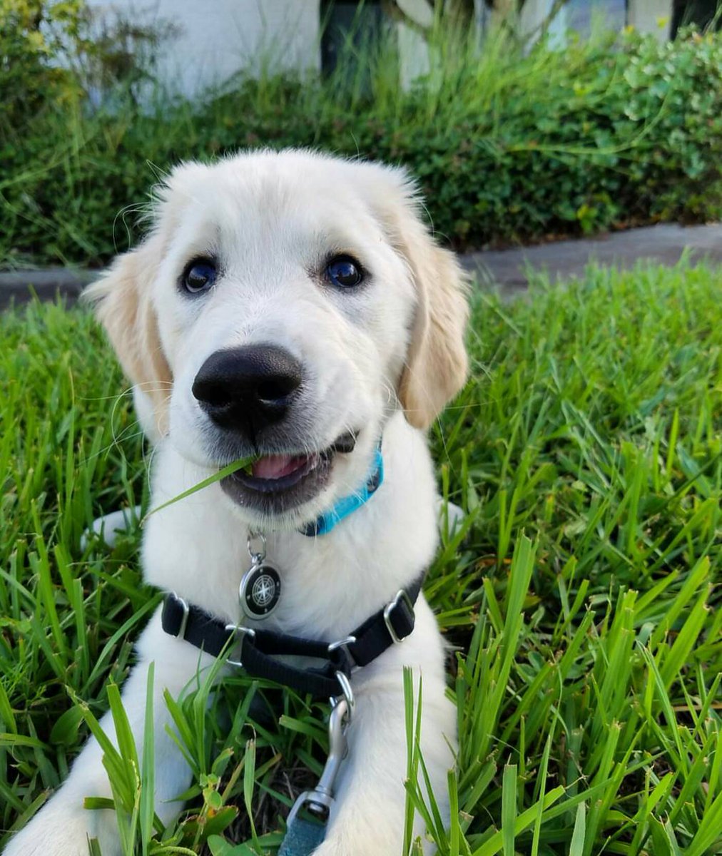 Just eating grass 😂🙈