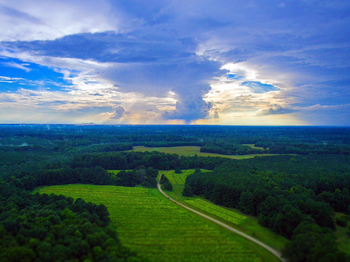 SouthernCatch's tweet image. Life in the South is simply stunning #takeiteasy