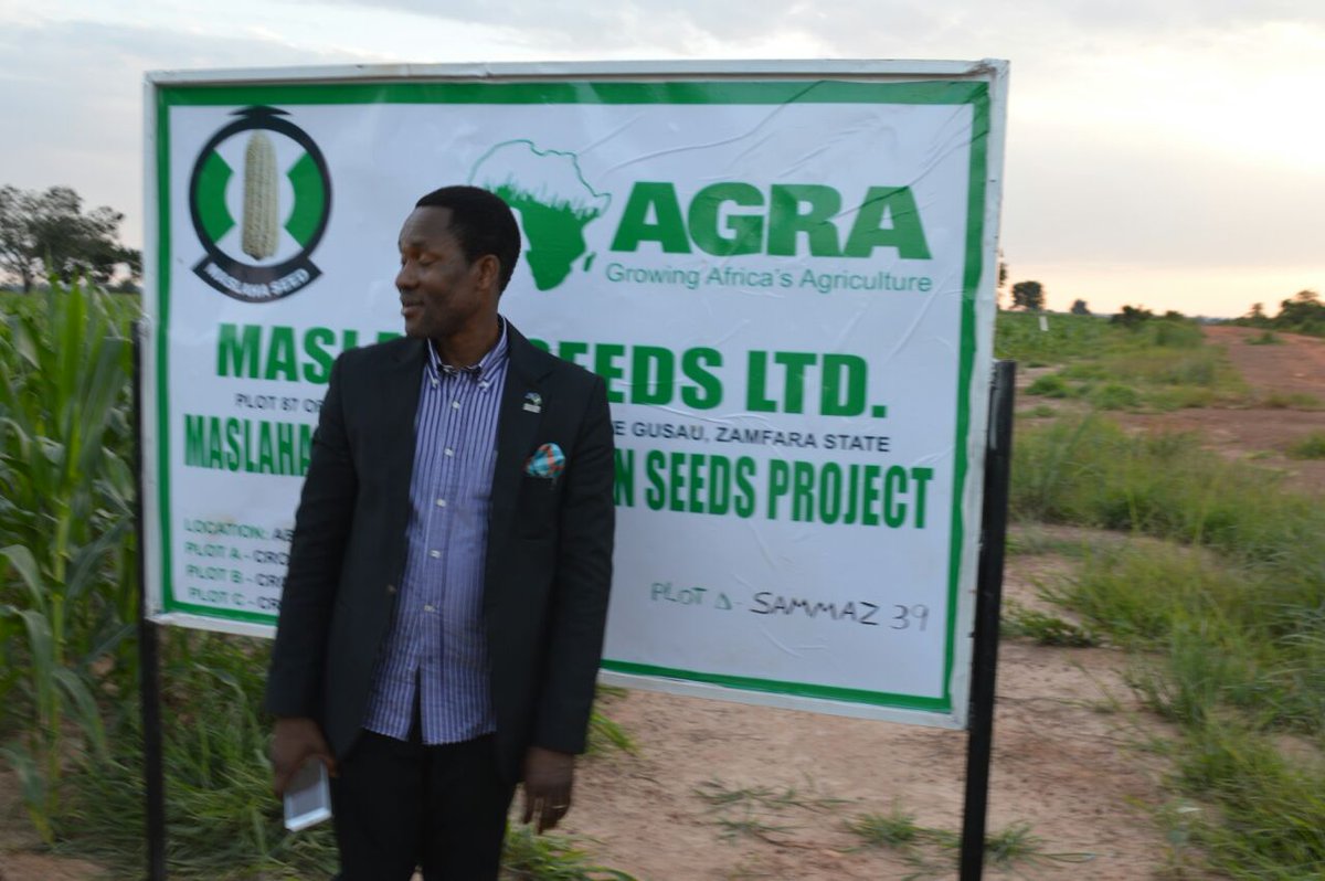 Ibrahim Abdullahi (@ibbrsd) on Twitter photo 