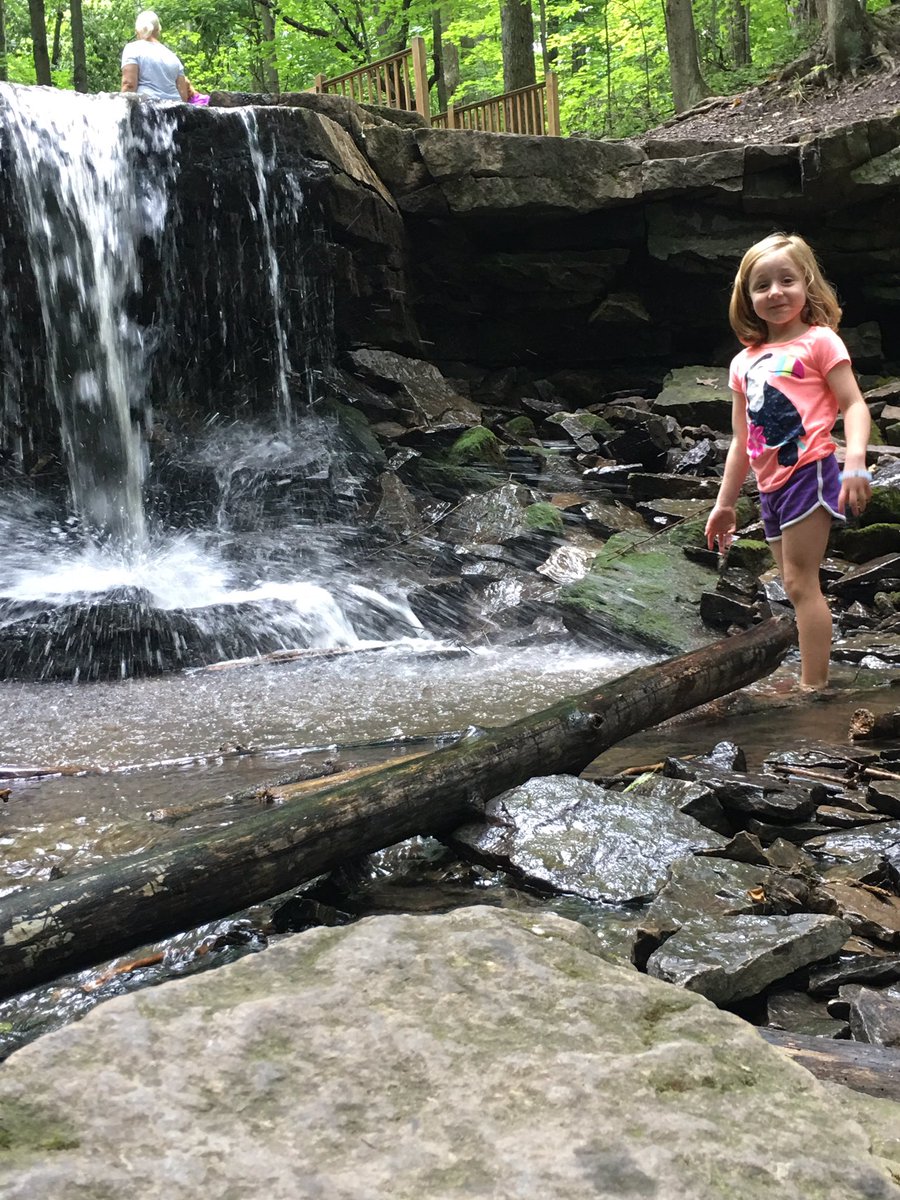 Lockportlookout's tweet photo. #JohnAustinPark #NiagaraCounty #Gasport #OldGrowthTree #nature #waterfalls #ilovenewyork #BeOn2 https://t.co/5cwzVVRdcF