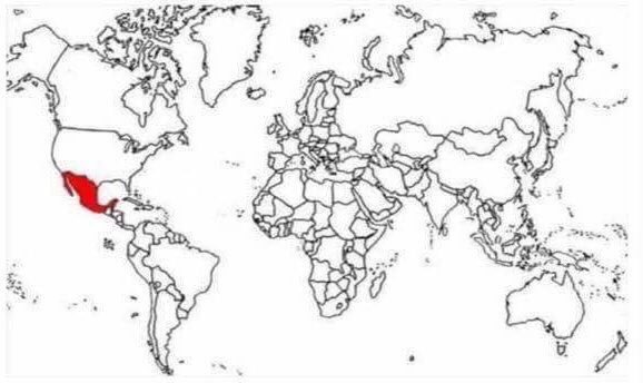 País donde lo bueno casi no se cuenta, pero cuenta mucho.