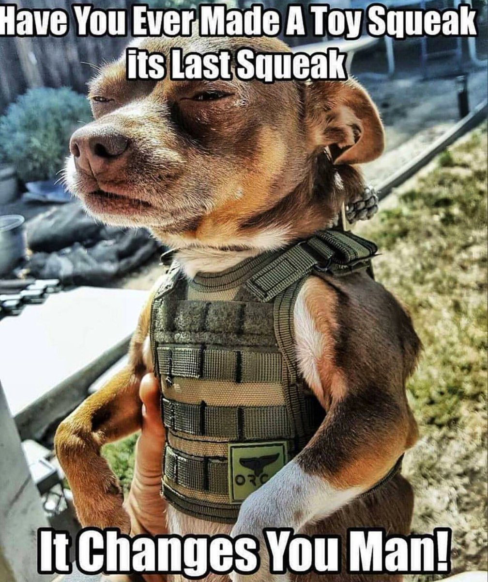 FoundersR's tweet photo. That one.. Last.. Squeak.. https://t.co/ZjieNNVniy https://t.co/JfDBMNrye2