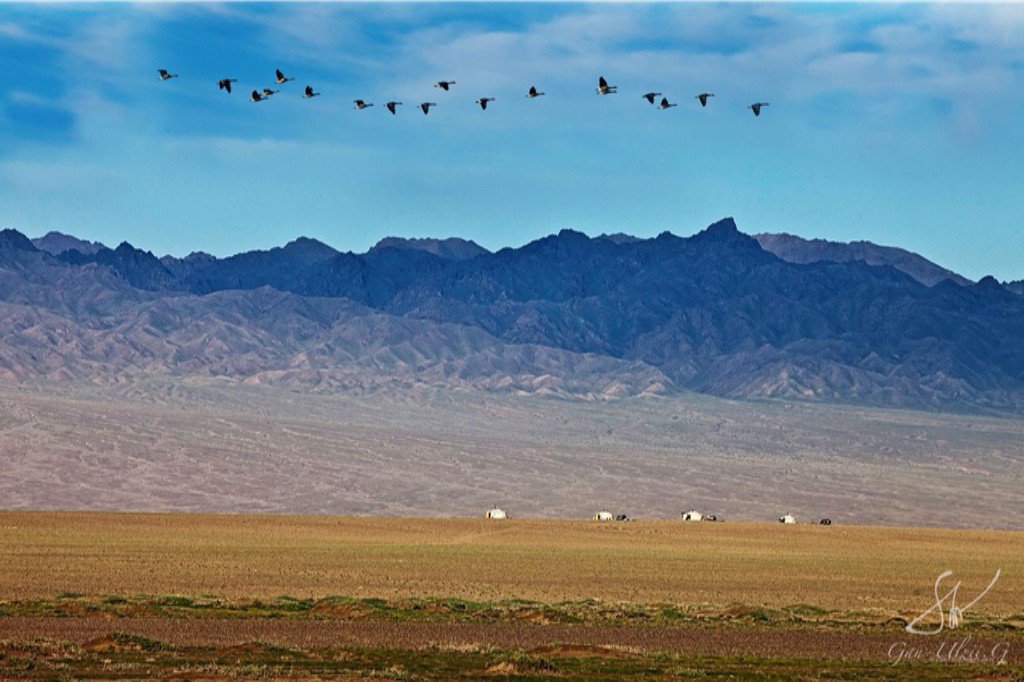 Гэгээн еглеений мэнд! АМЖИЛТ!