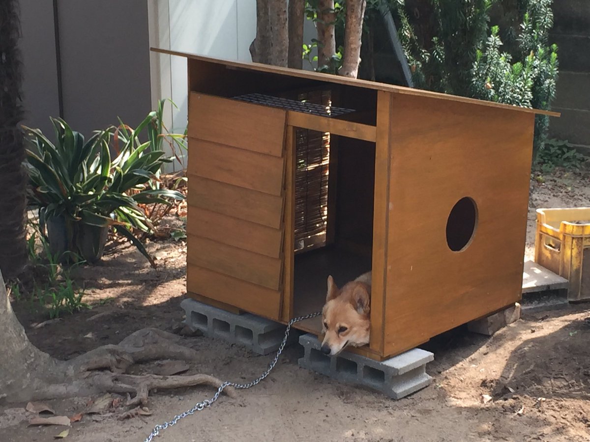 Avainsana 犬小屋diy Twitterissa