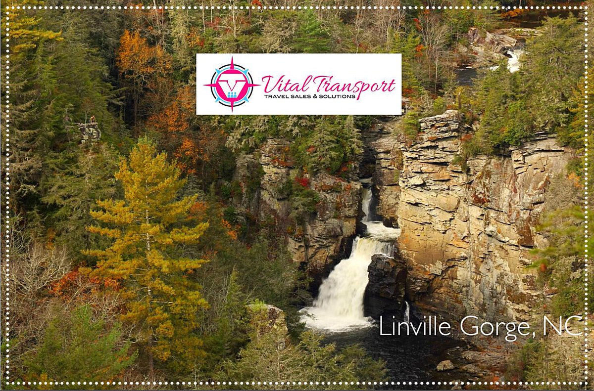 I love the North Carolina Mountains! Ask me about traveling there? <a href="/vitaltransport/">Vital Transport</a> <a href="/FVoyagers/">Forsyth Voyagers</a> <a href="/LinvilleRidge/">Linville Ridge</a>
