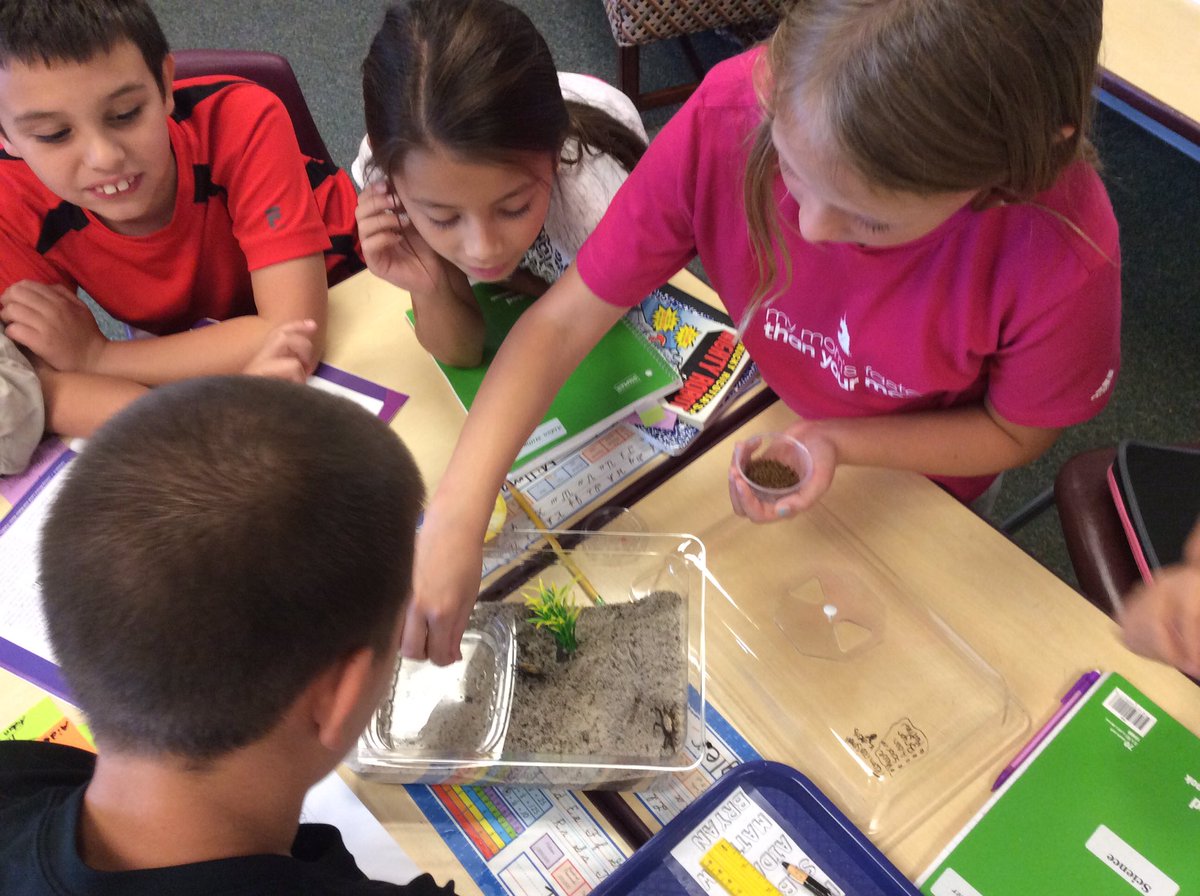 MsLindsey4Class's tweet photo. Creating our classroom Fiddler Crab habitats, trying to emulate their natural habitats. #InstantOcean #nbs2016 https://t.co/Rv2jPQv1SH