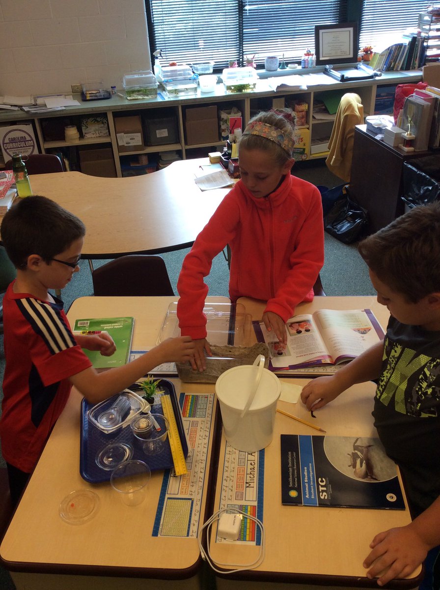 MsLindsey4Class's tweet photo. Creating our classroom Fiddler Crab habitats, trying to emulate their natural habitats. #InstantOcean #nbs2016 https://t.co/Rv2jPQv1SH