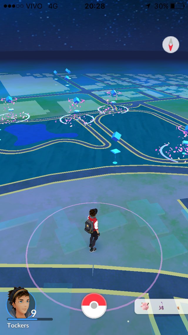 tockerslol's tweet photo. Chego em casa abro o pokemon go e vejo isso, vou virar main parque ramiro https://t.co/Cyqam0YZ12